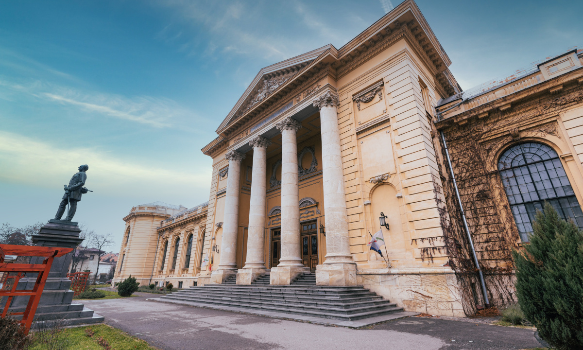 Carol Davila University